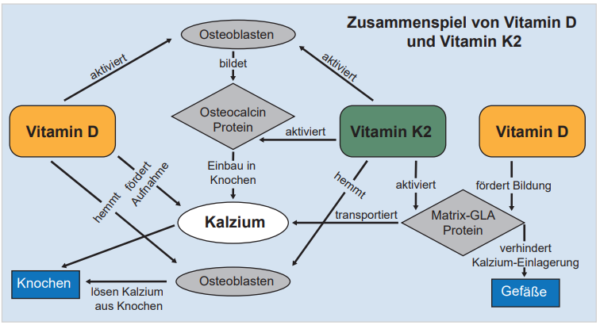 Vitamin K2 - Die NährstoffAllianz